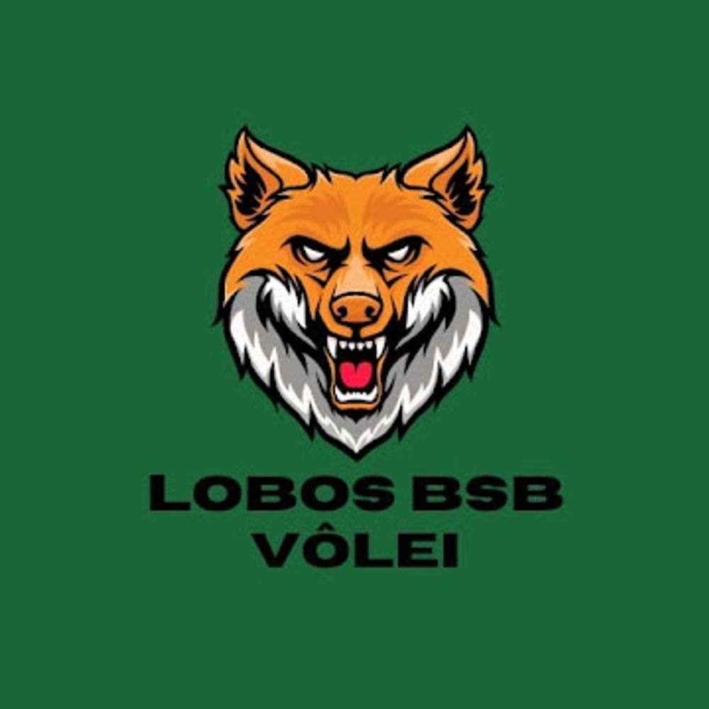 Torcida Lobos do Brasília Vôlei
