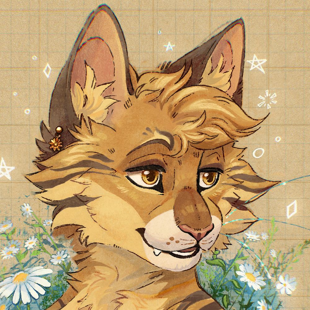 😺🌼