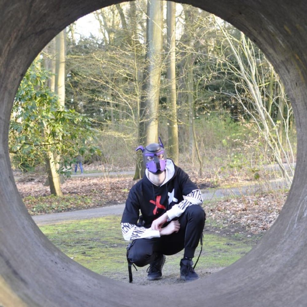 Pup_Rexon