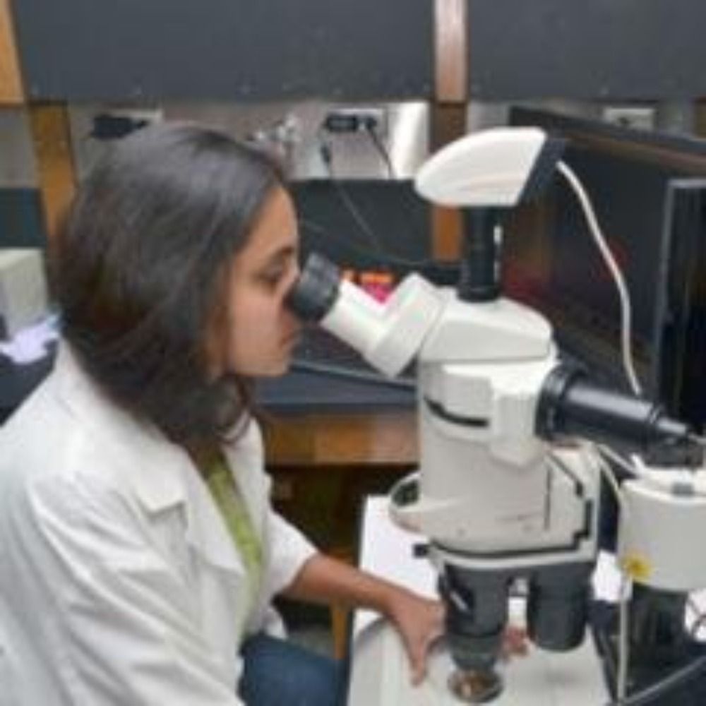 Tanvi Sinha