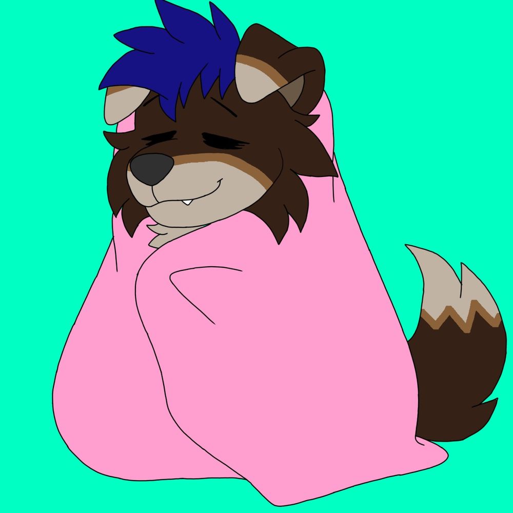 Alex_BorderCollie