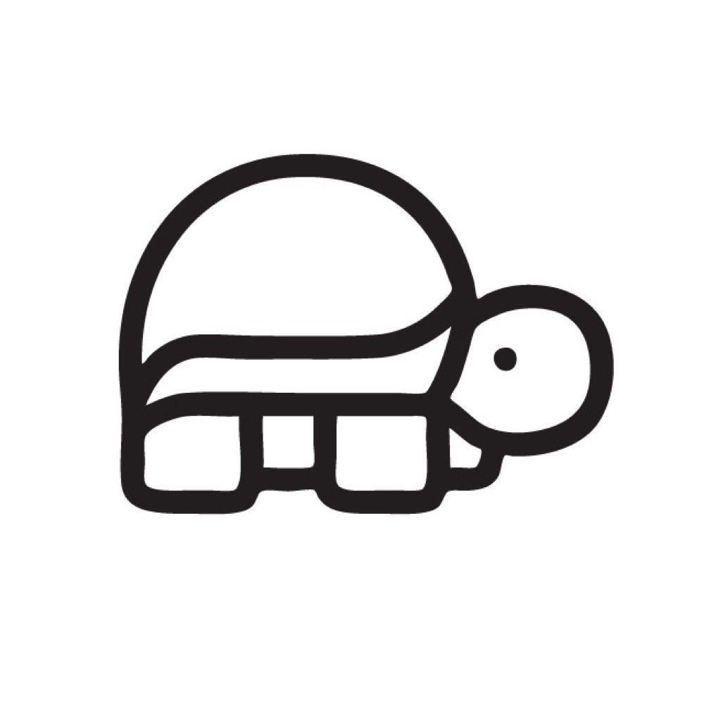 Turtle Wayne