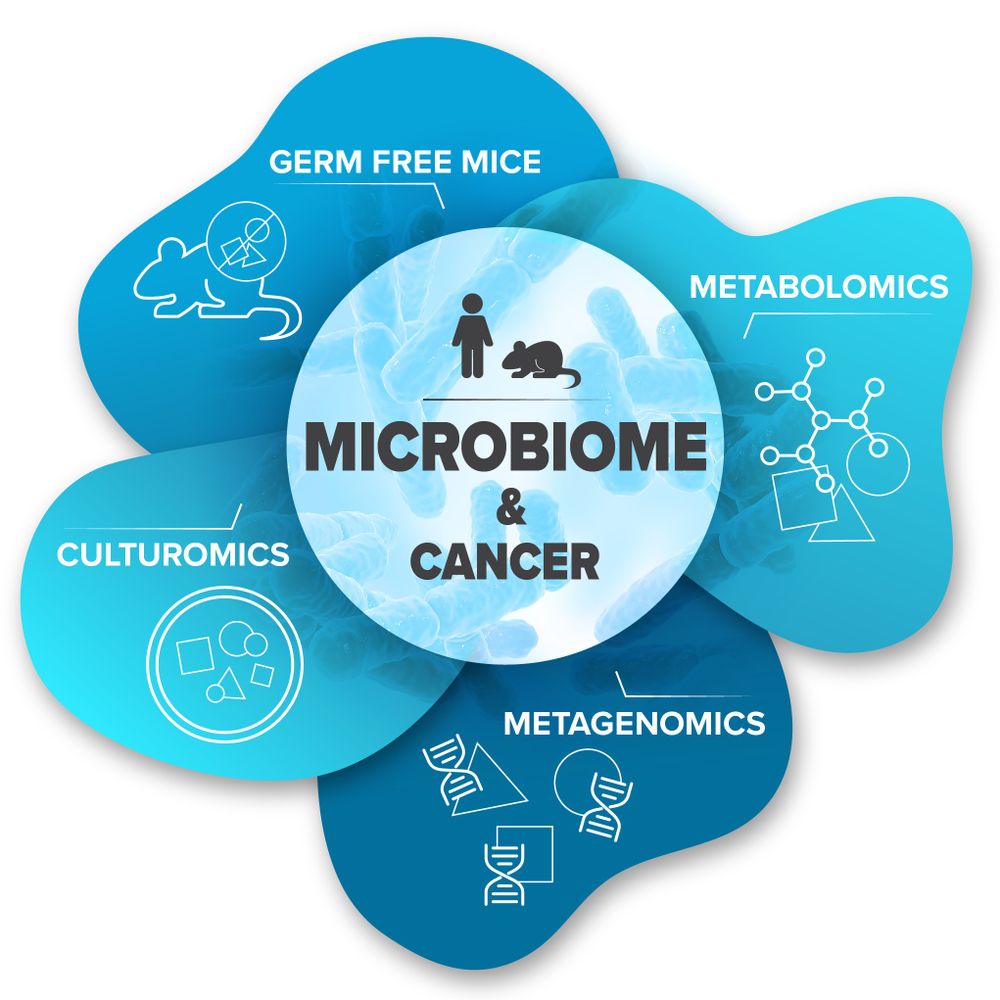 Microbiome & Cancer Elinav Lab (DKFZ)