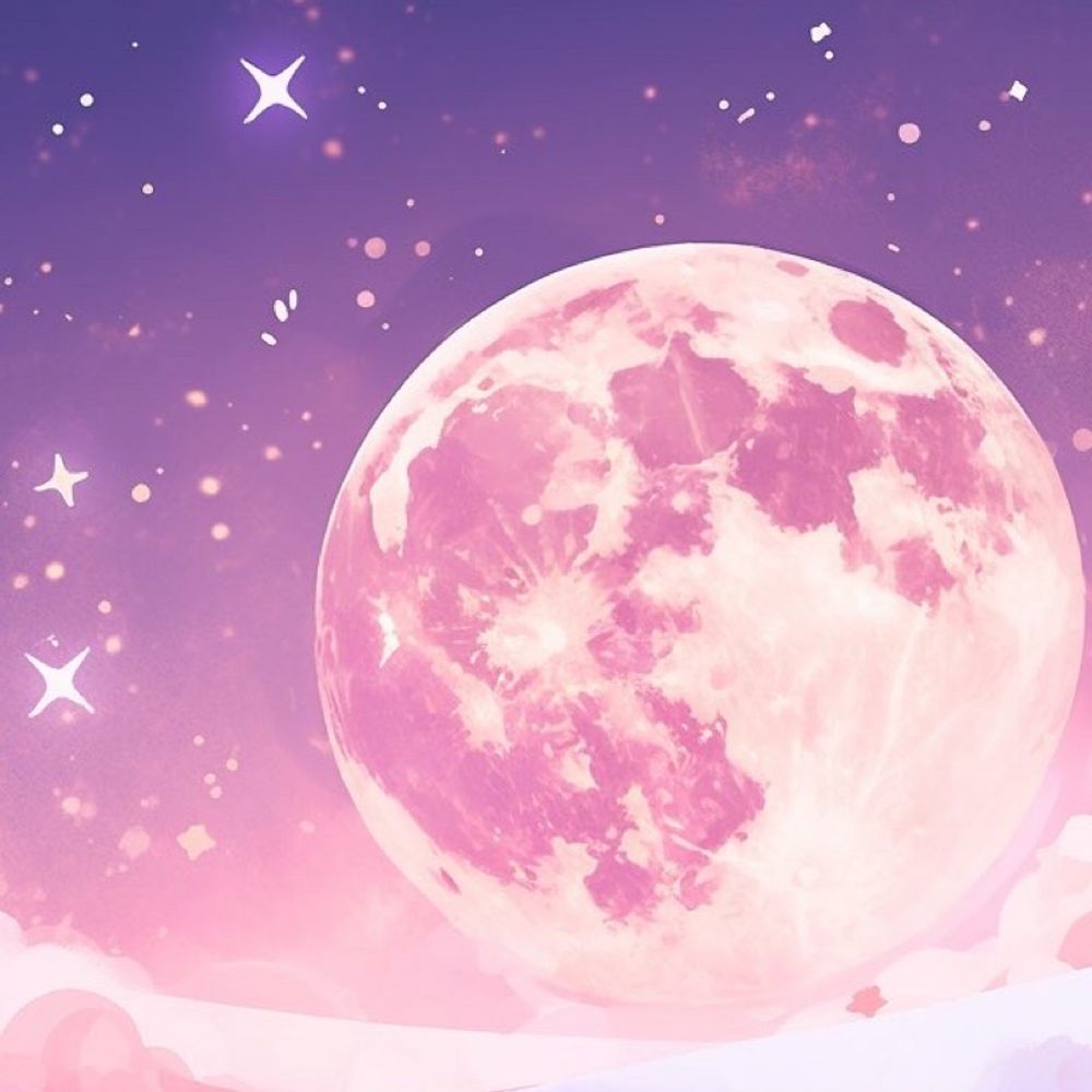 望月荘🌕🏰