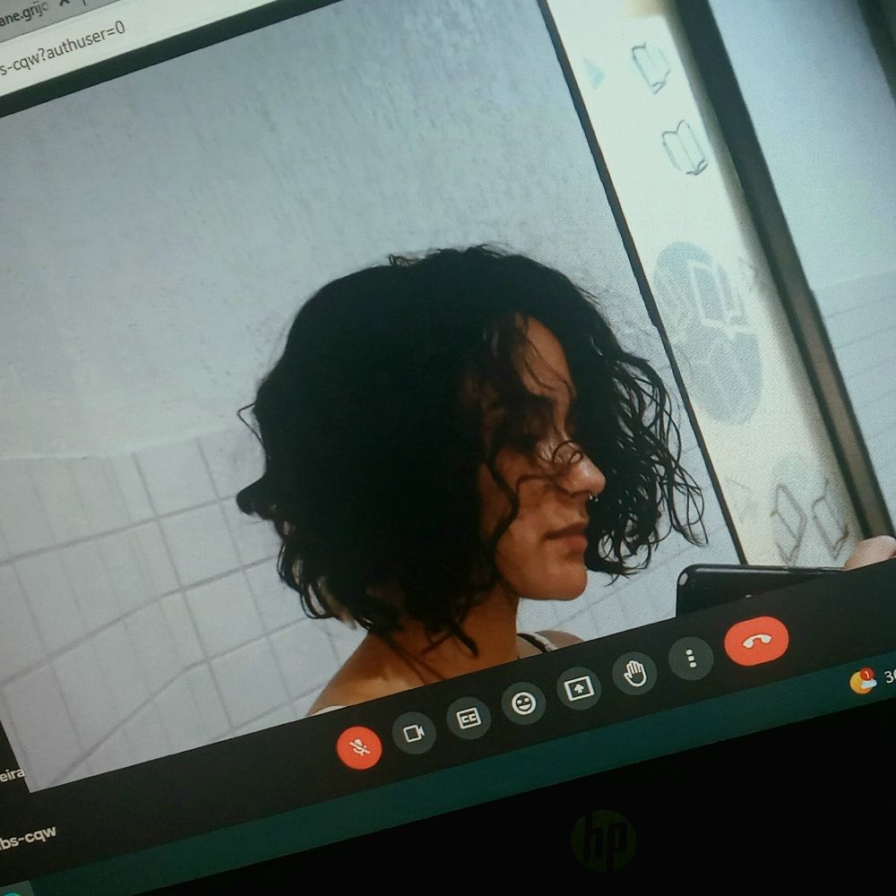lulu da palmirinha 