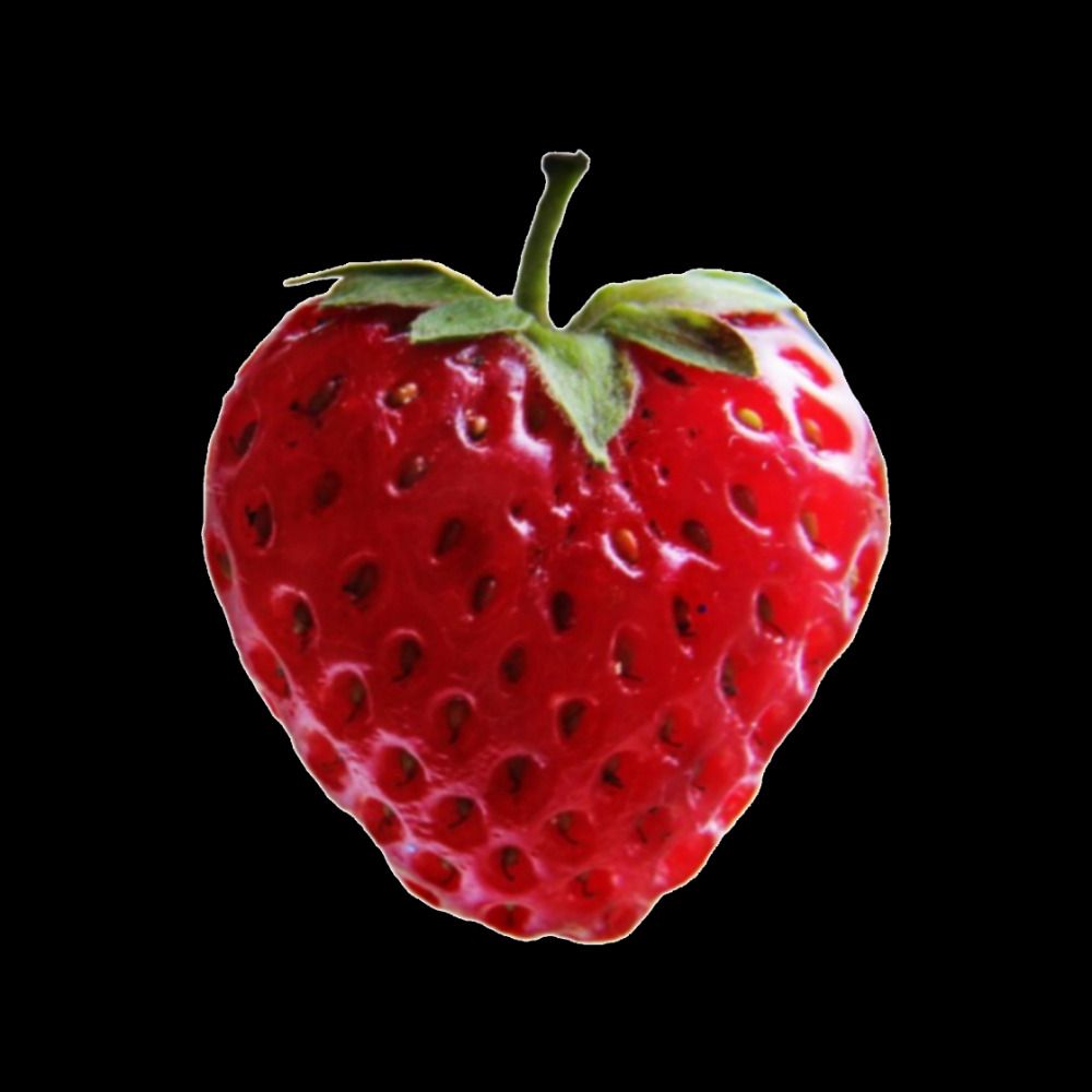 strawbs garden