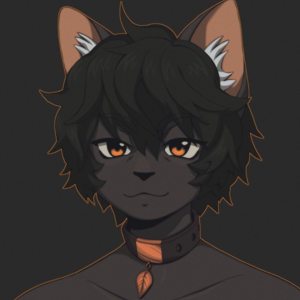 Jeremy The Cat