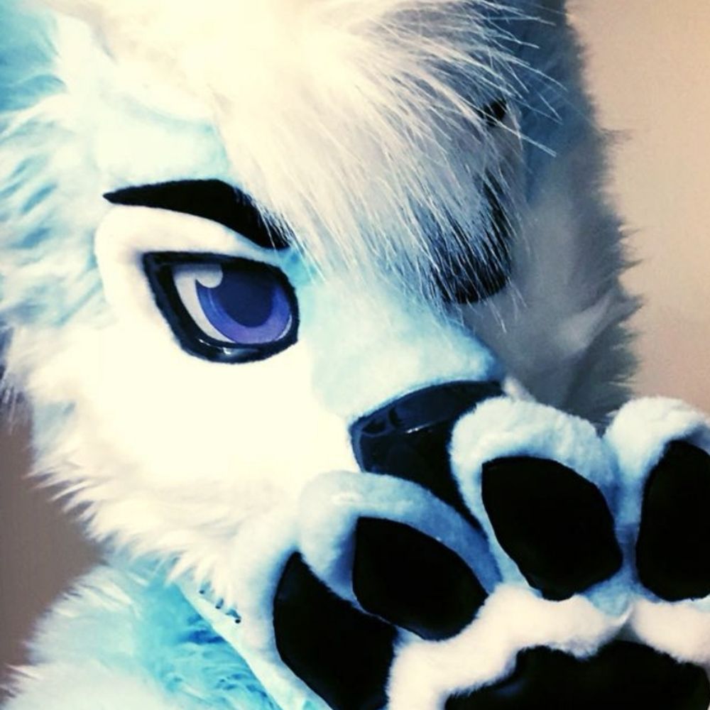 Jem Husky 