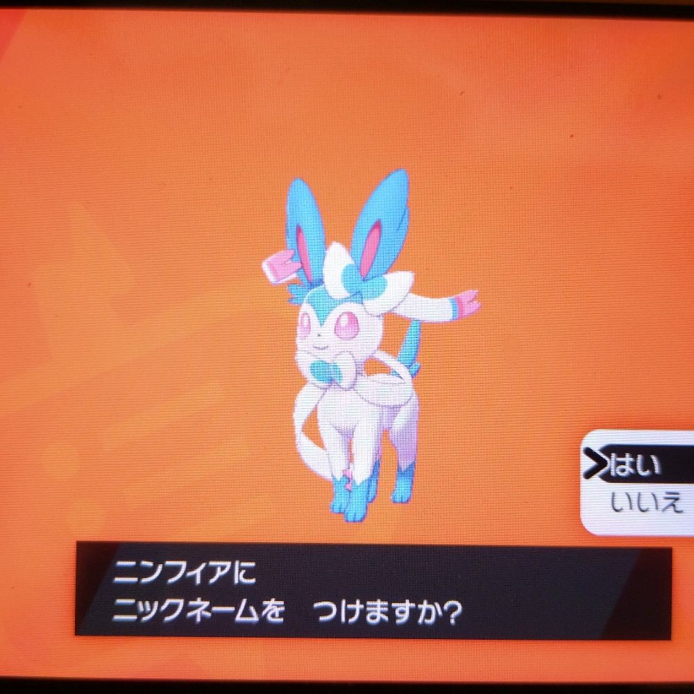 ちょこ