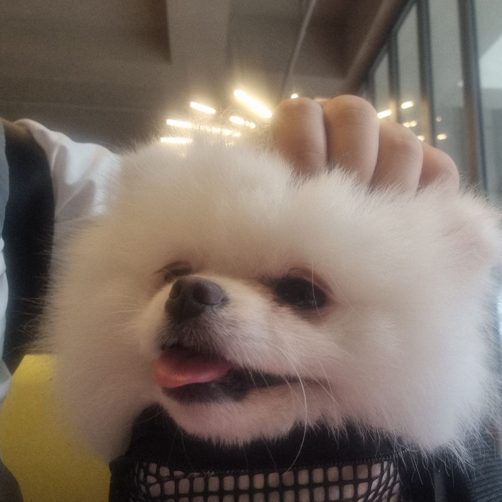 가면이