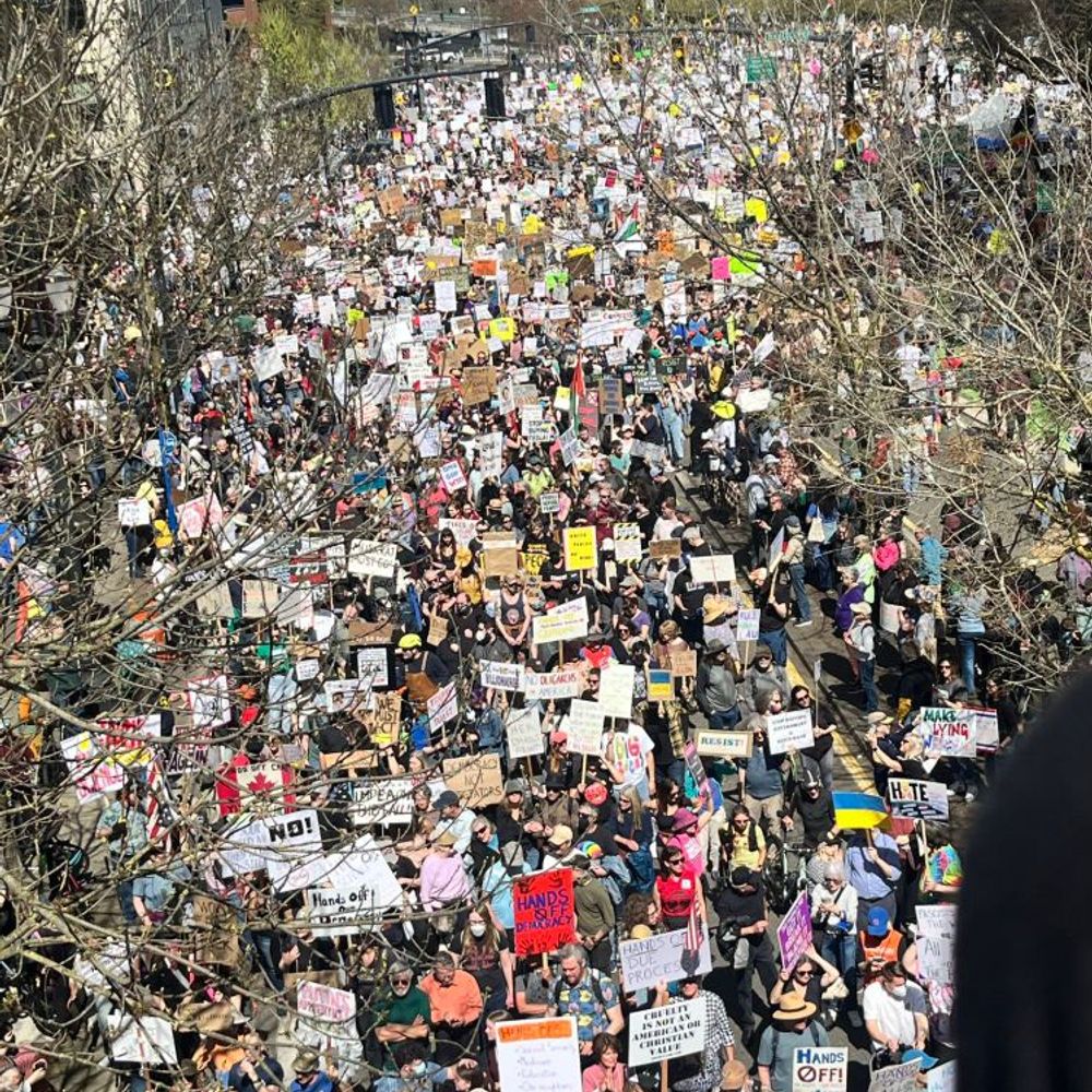 peaceful-protests.bsky.social profile picture