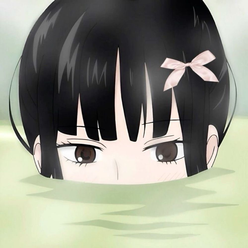 𐚁 sawako ! ୧ ֹ ִ  🧺
