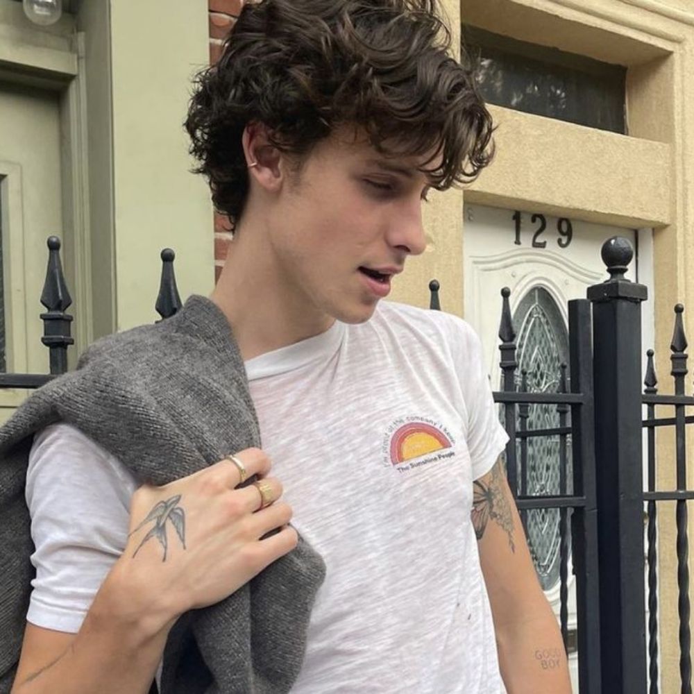 titia tita🥀 viu o shawn