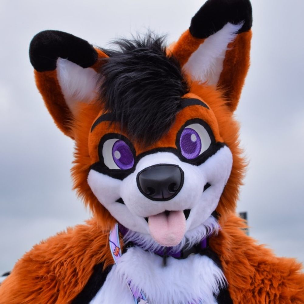 Smol 🦊