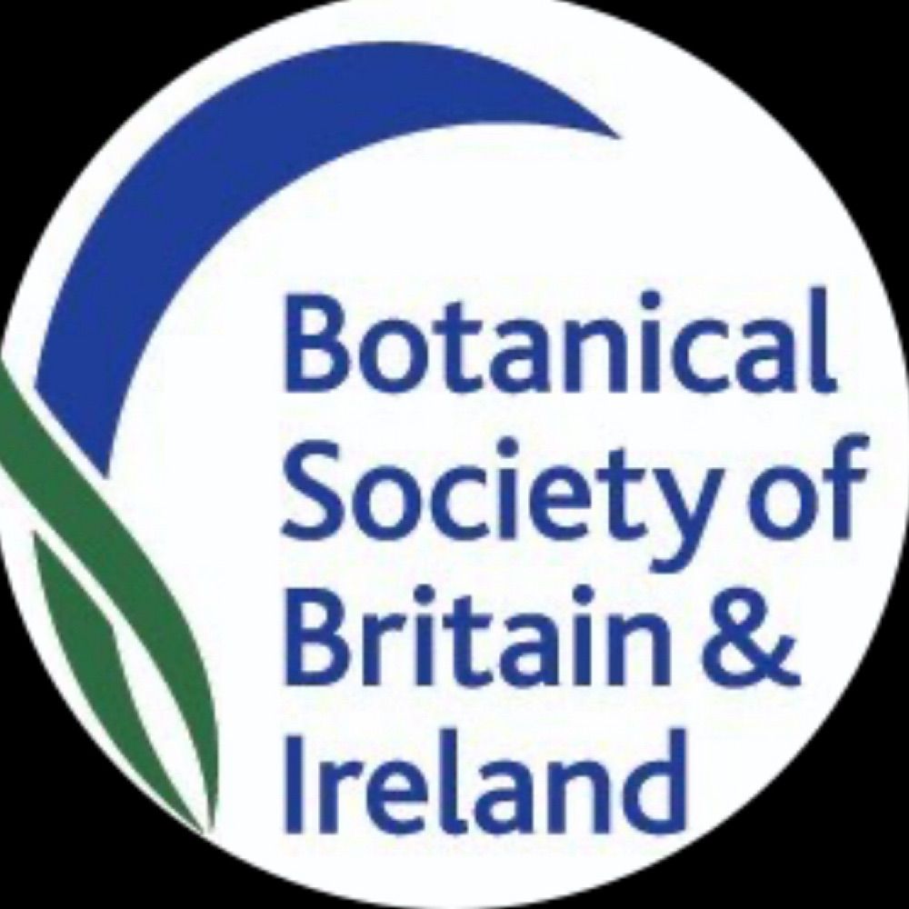 BSBI Cymru / Wales