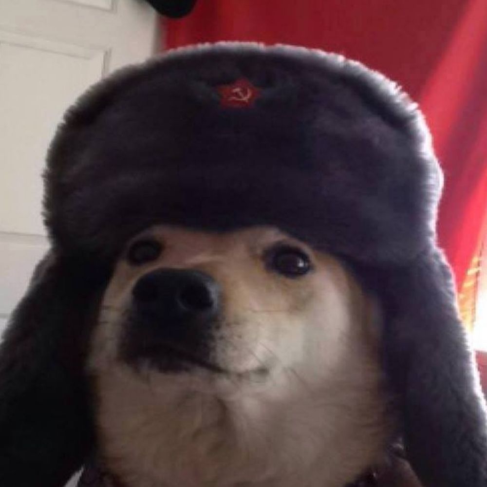 User avatar