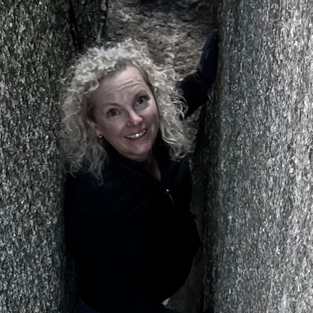 Lisa Burgess