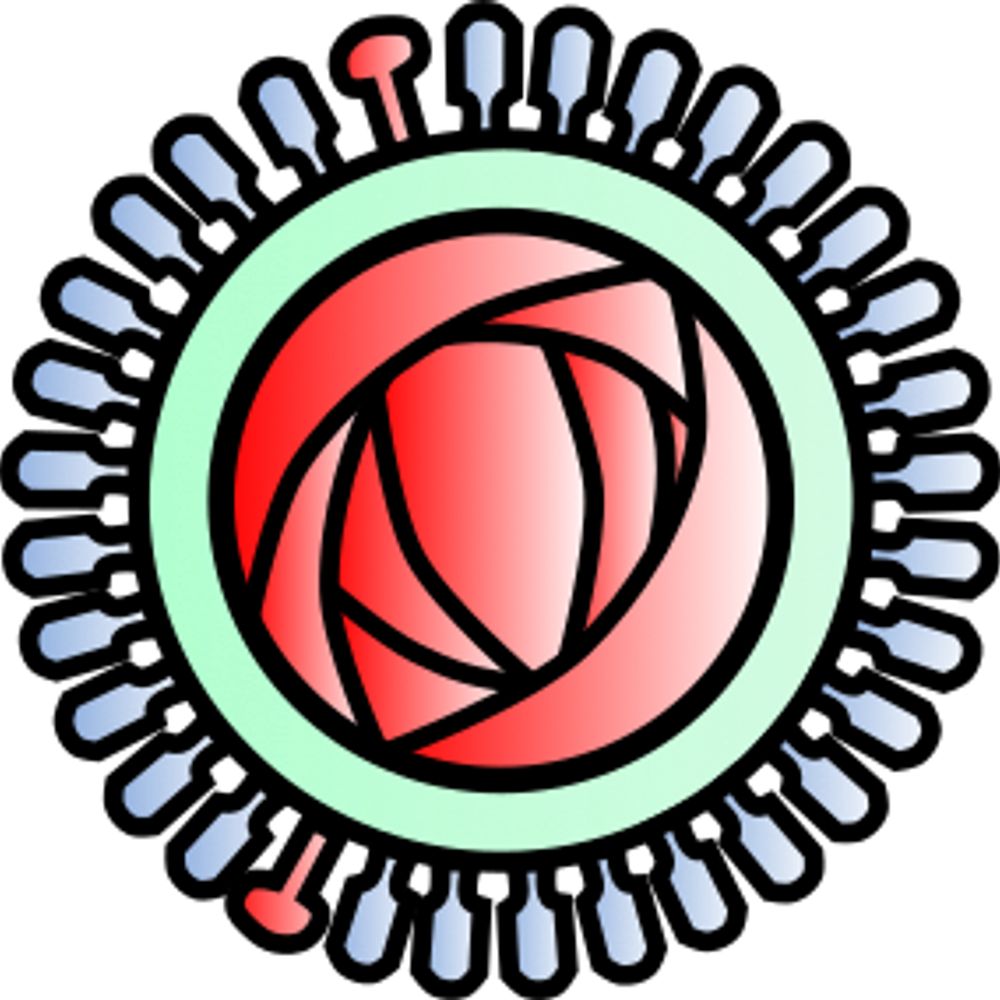 Influenza Update Meetings
