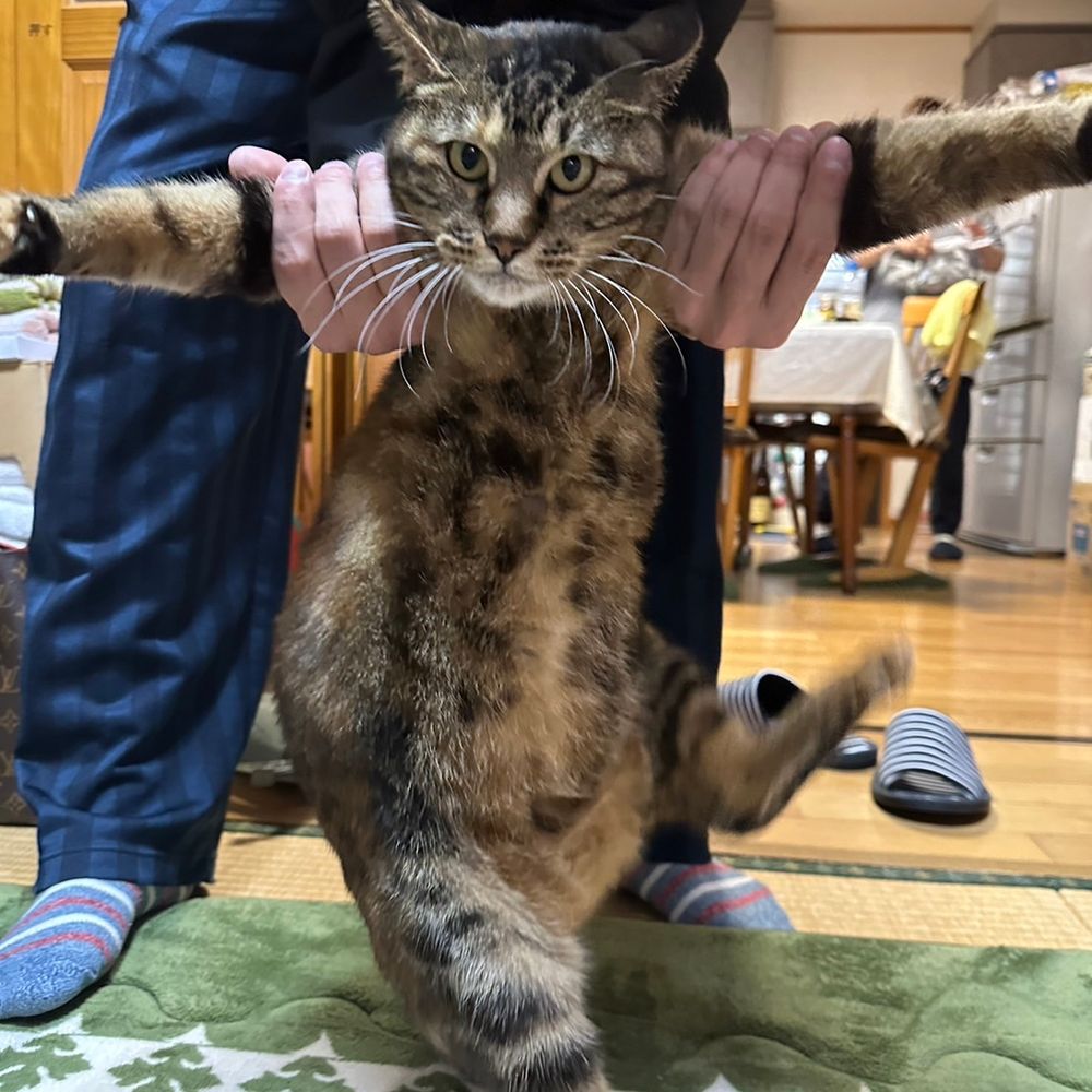 トモヤ