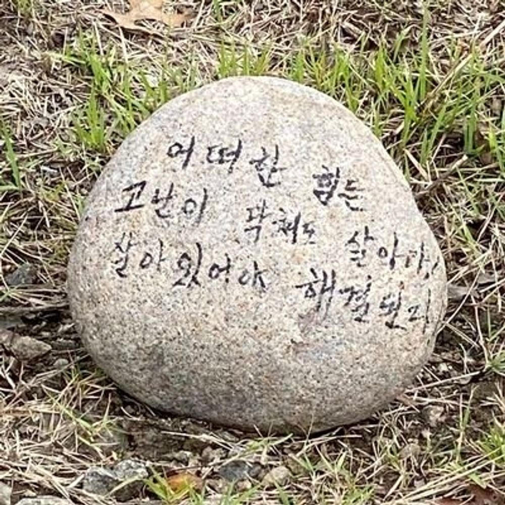행복치🐡