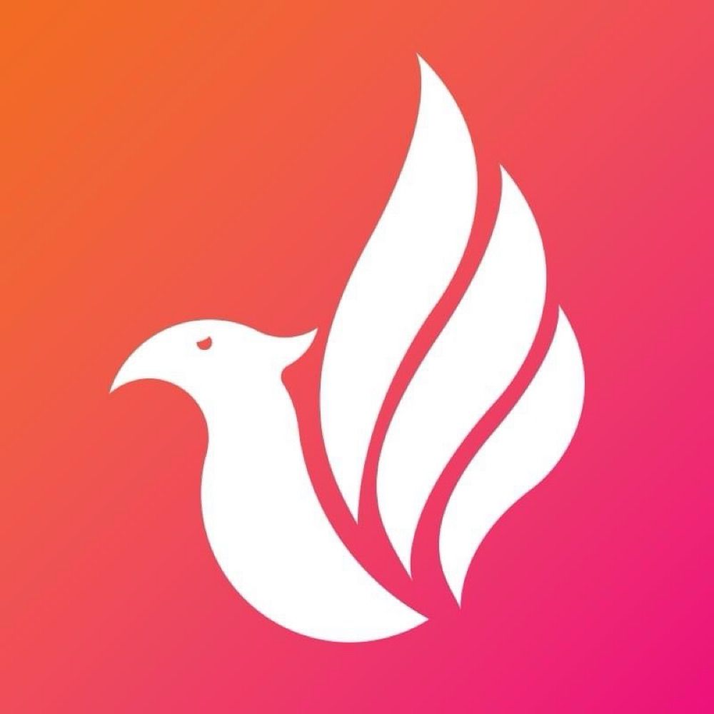Fenix Simulations