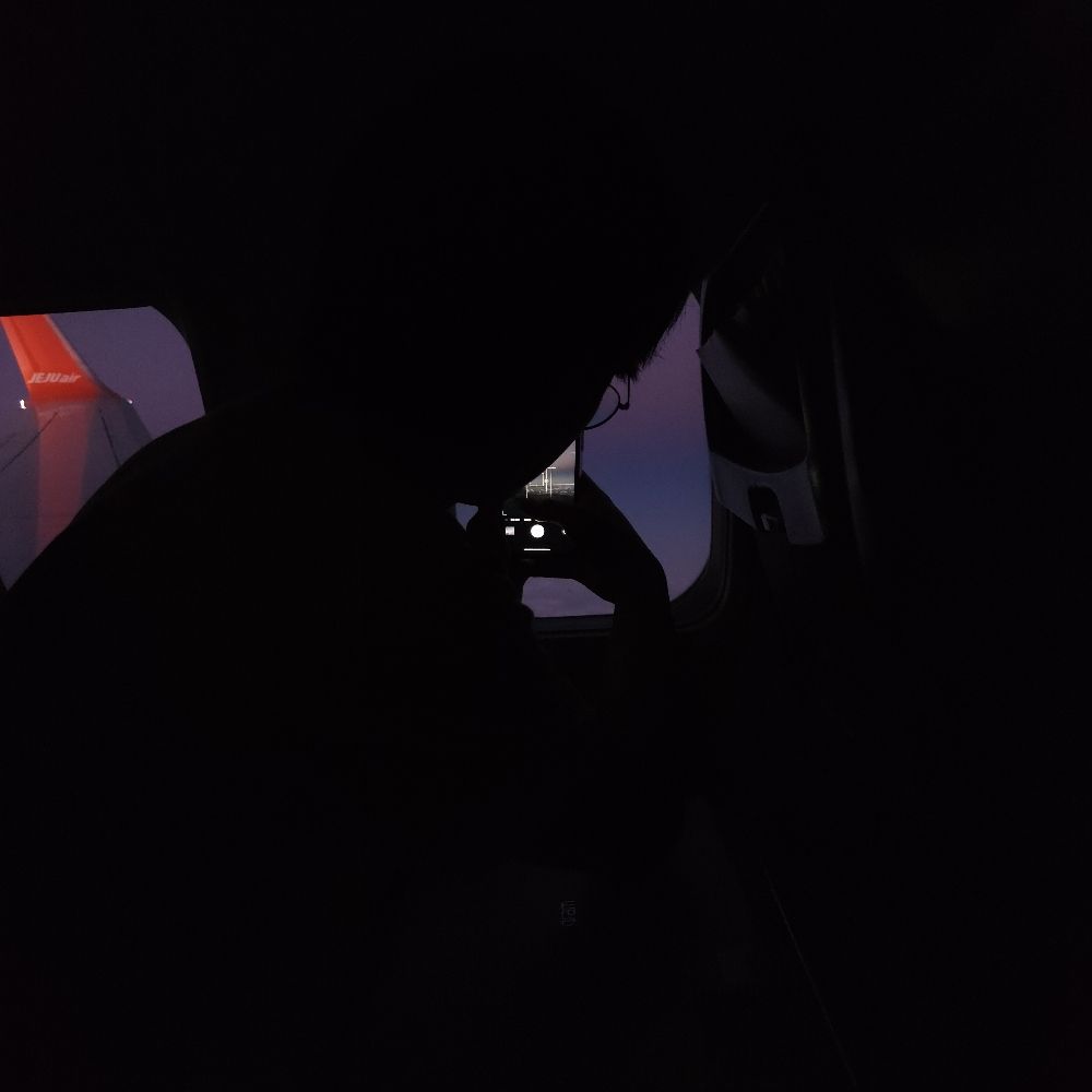 다슈