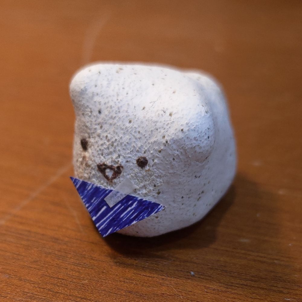 Salt