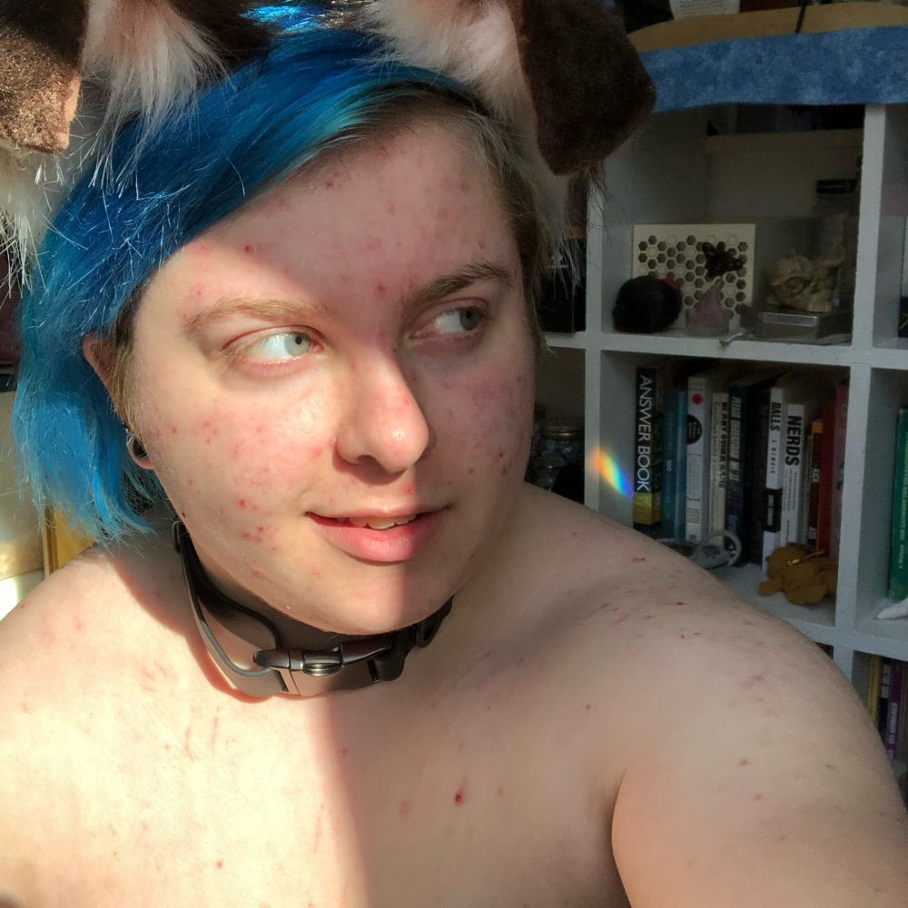 Bear {they/them}