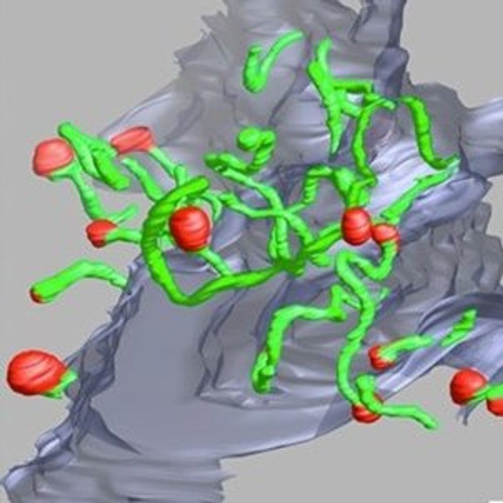 De Camilli Lab