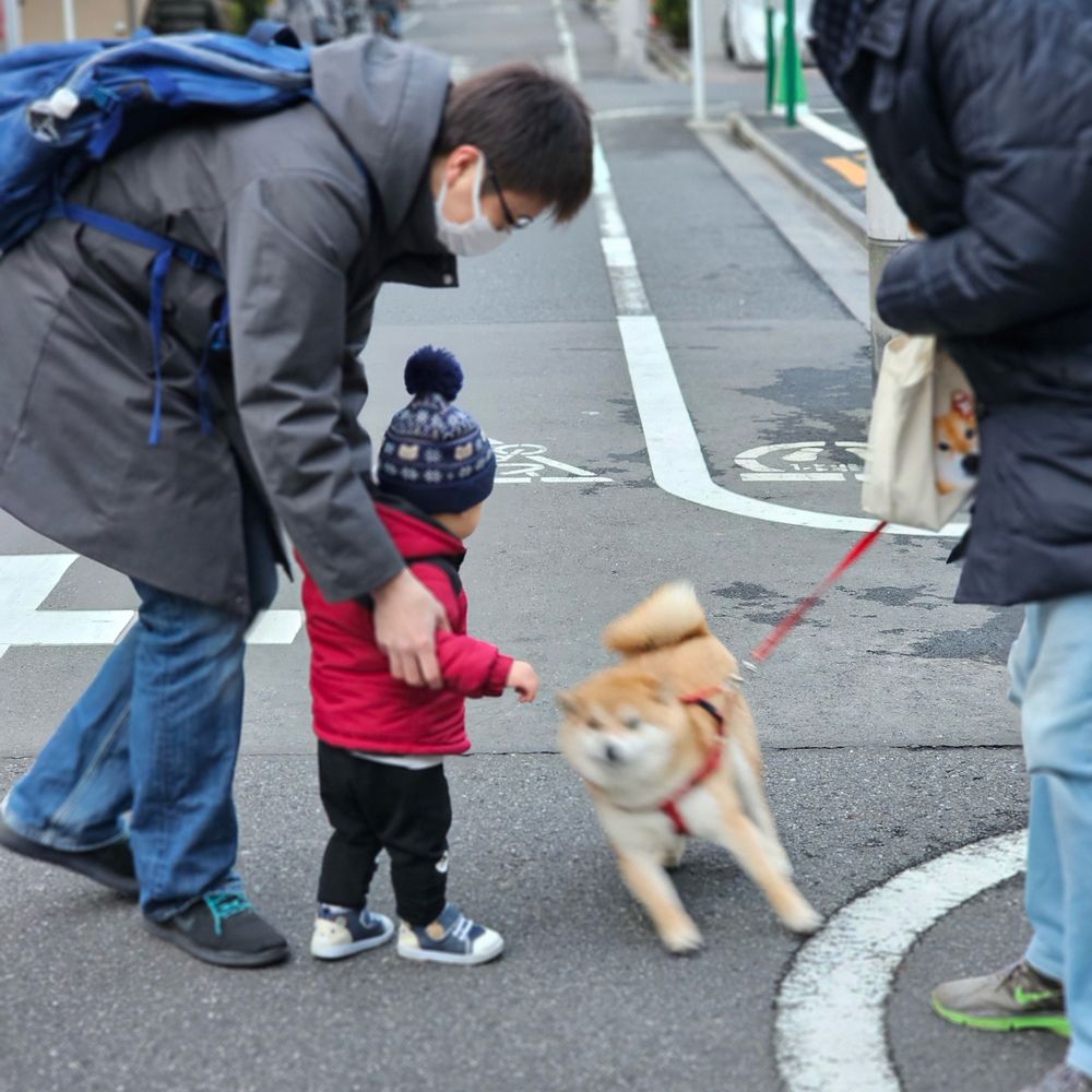 じーず