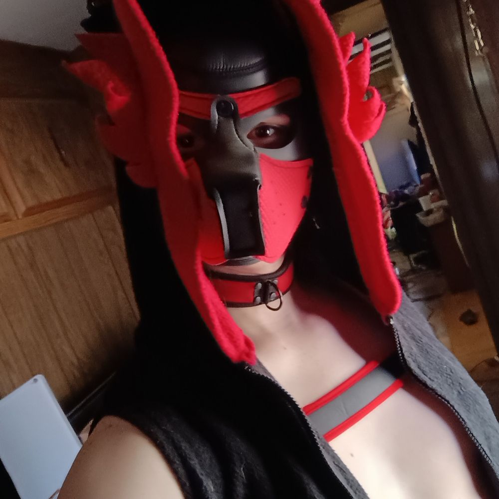 Wolfie 