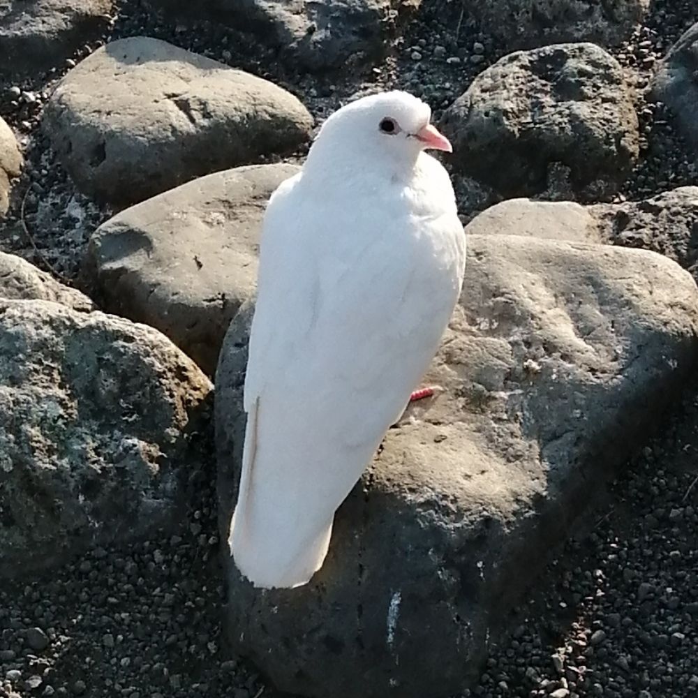 あさち