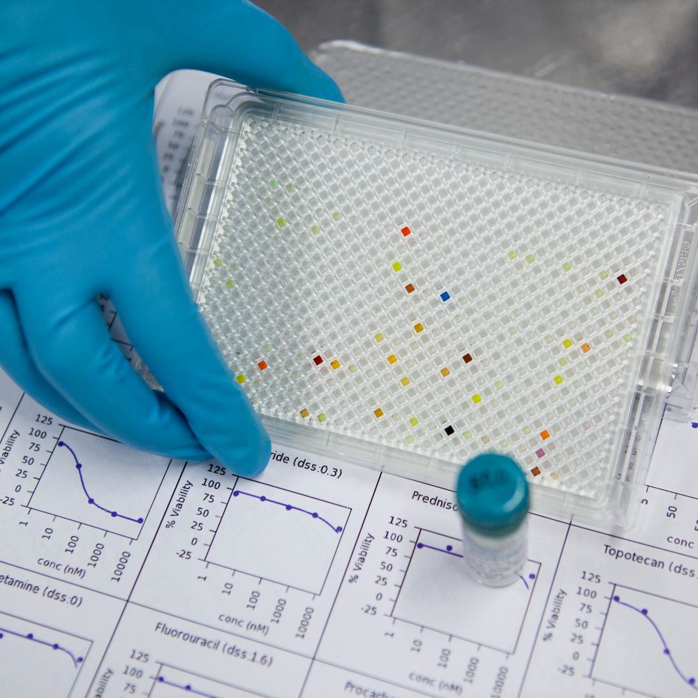 Nordic EMBL Partnership for Molecular Medicine