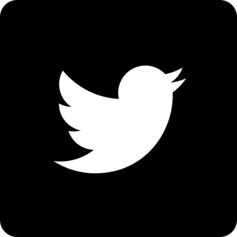 dias sem twitter (x)