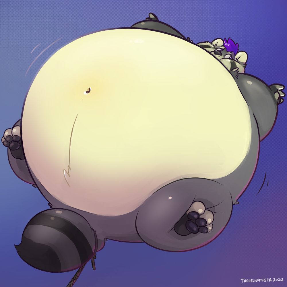 Dex Raccoon BLIMPLOCK (39 Days ×2)