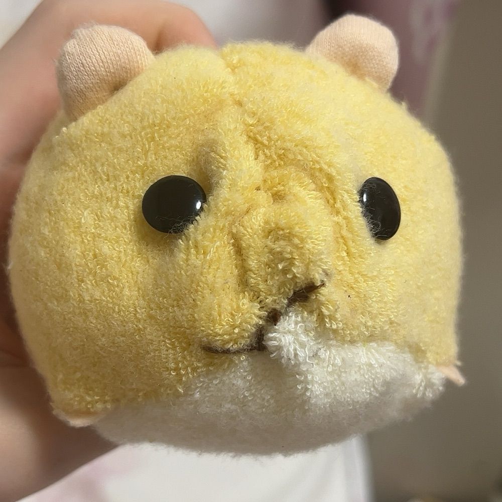 おくち愛好家
