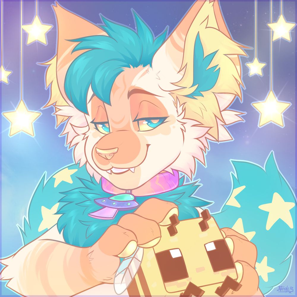 Space Cat 🔜 MFF