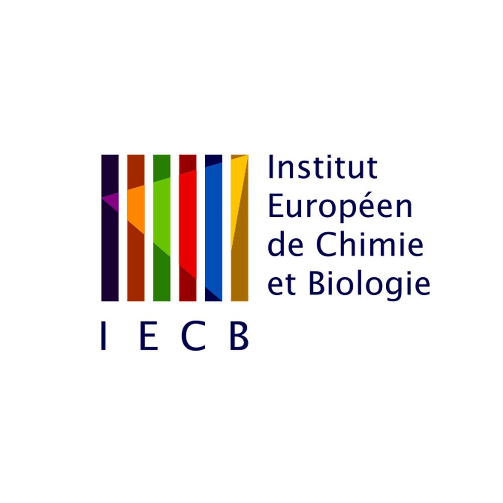 IECB Bordeaux