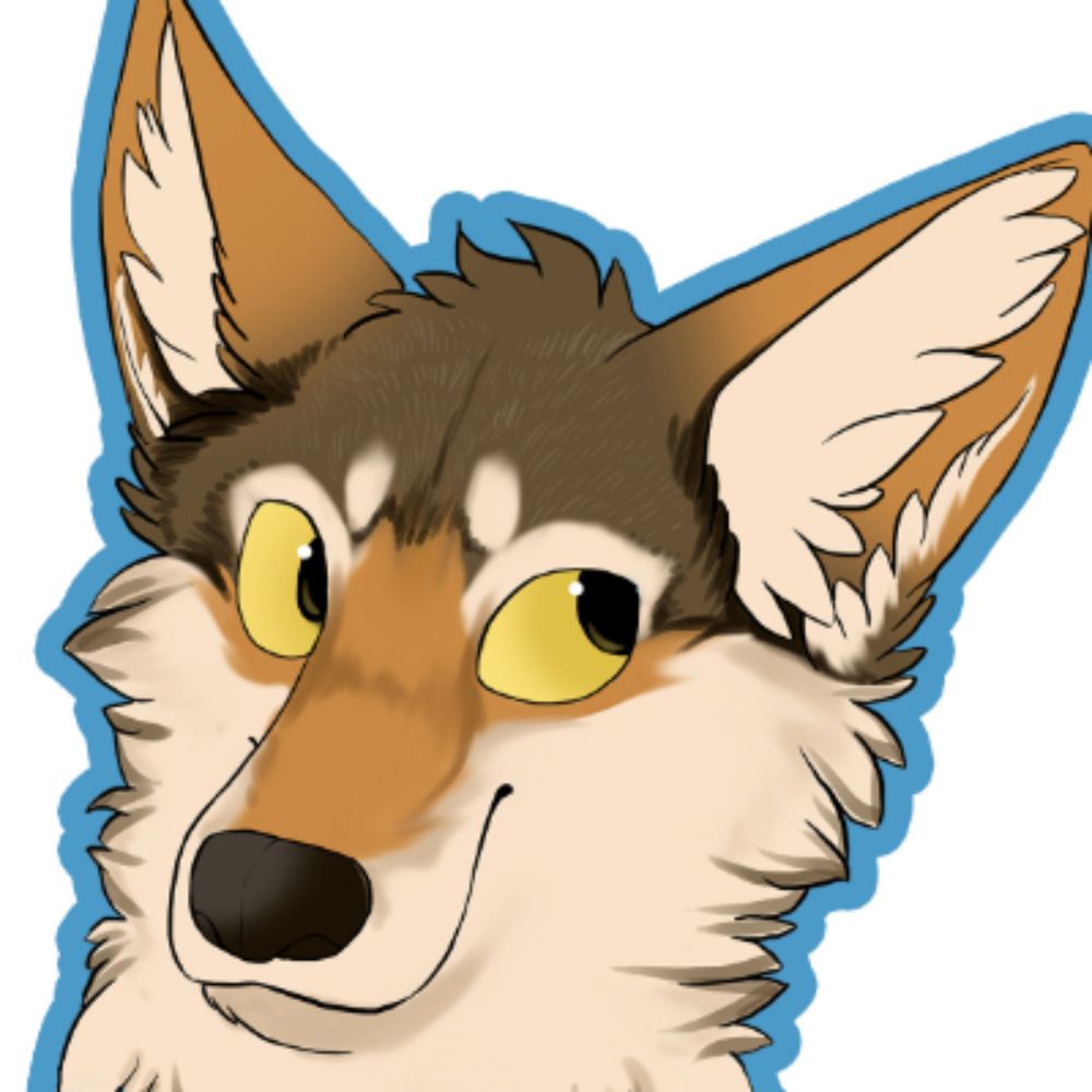 Quiyote