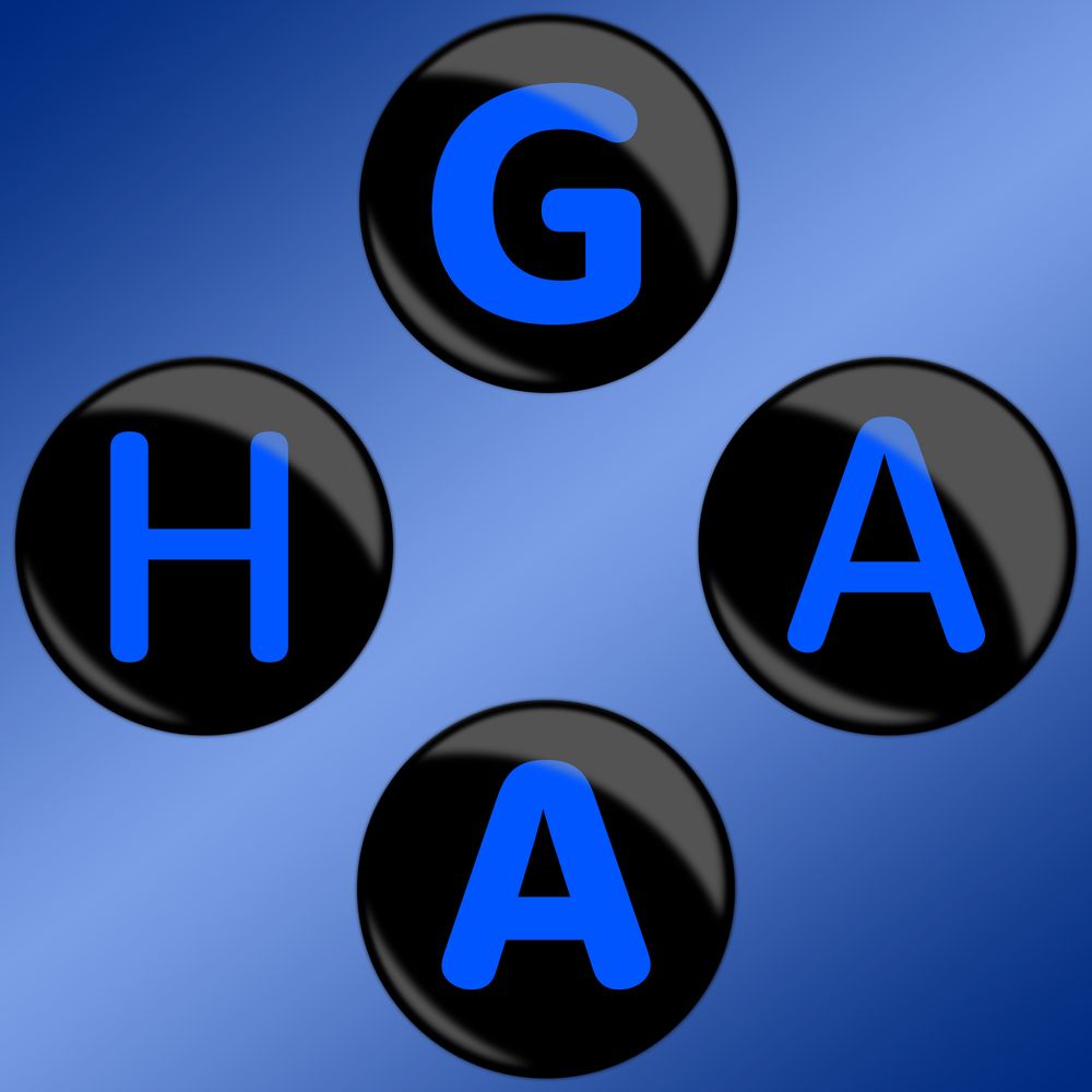 GAHA Charity Event