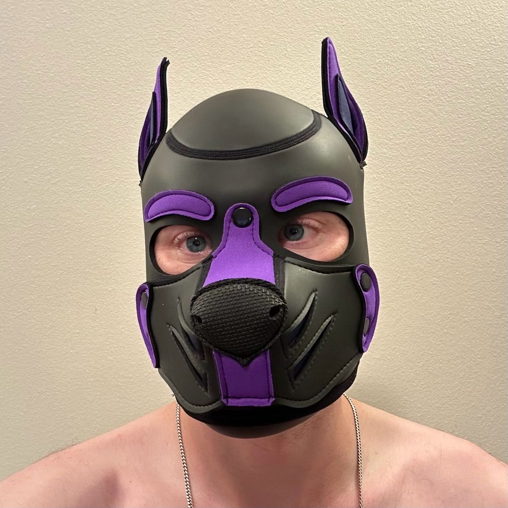 pup foraker