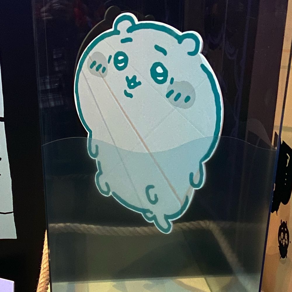 さえる
