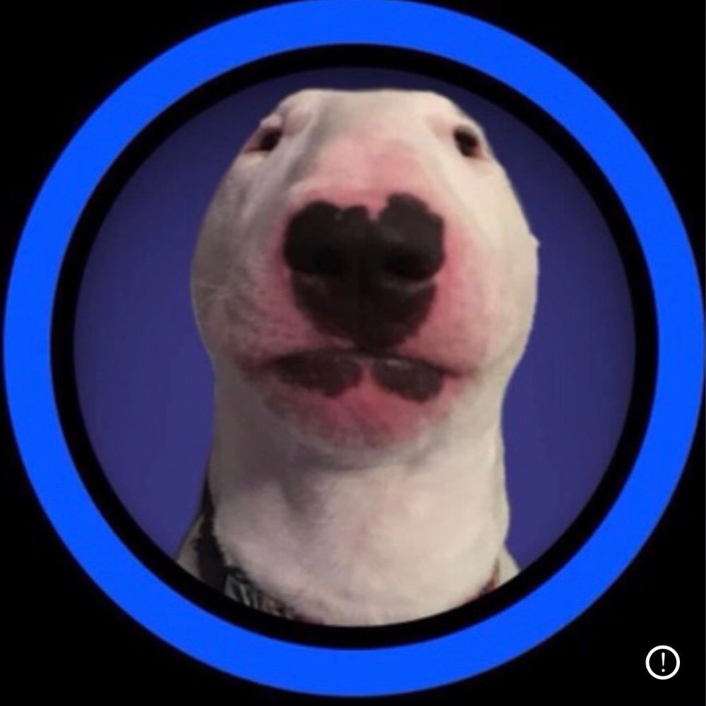 KidDash
