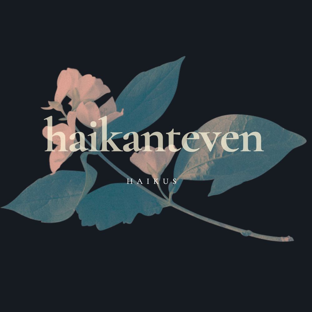 haikanteven // haikus