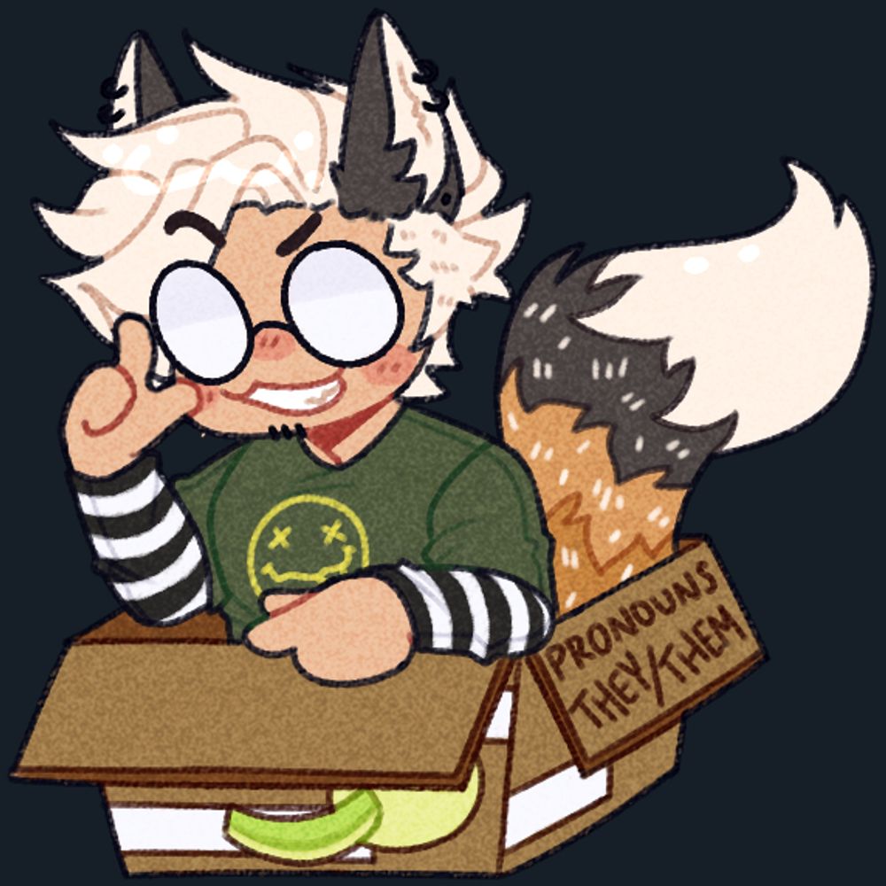 boxxkitt 