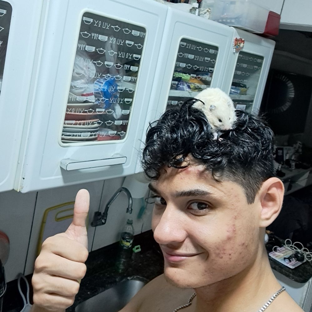 Vini gay (não sou gay)