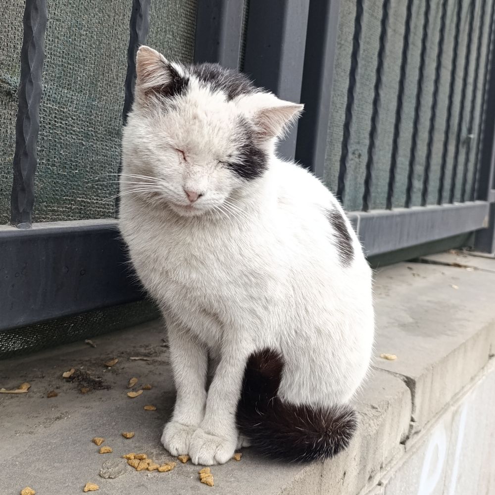 Eldera