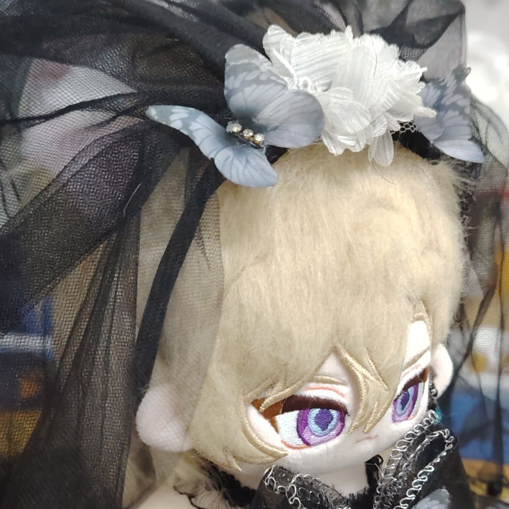 Rui