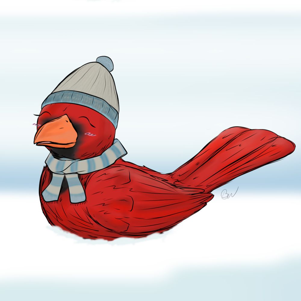 BIRdism
