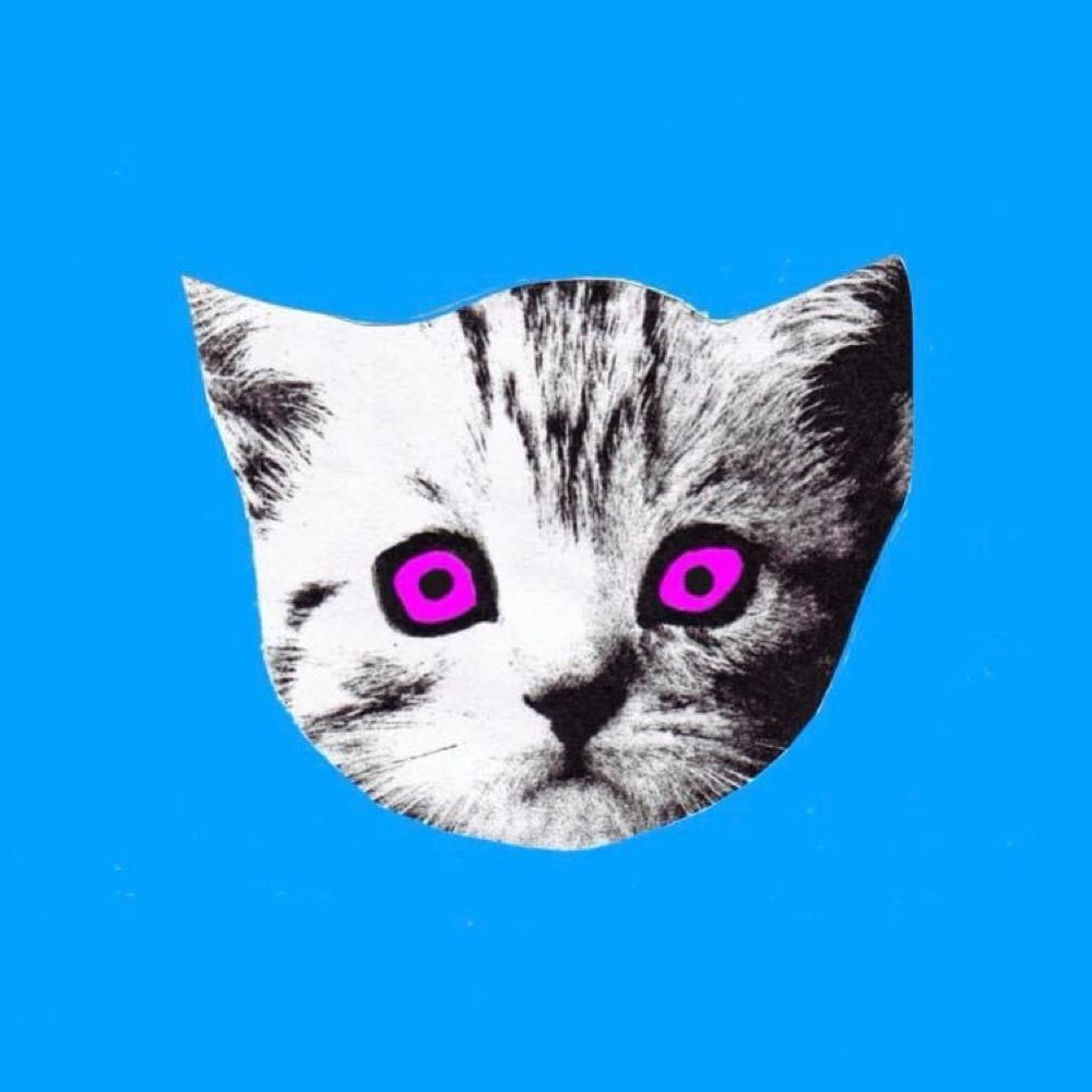 Stiff Kittens DJ